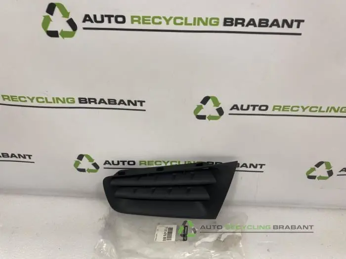 Stoßstangenrost Renault Megane