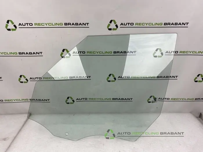 Portierruit 4Deurs links-voor Mini Countryman