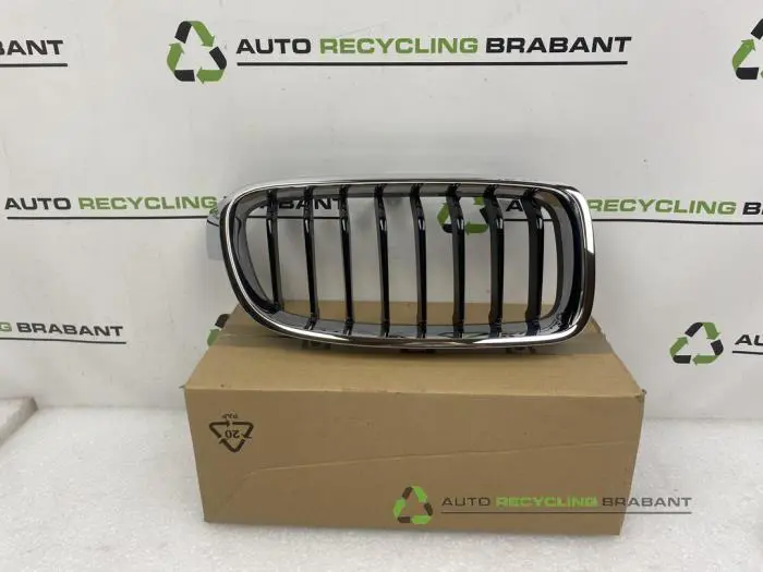 Grille BMW 3-Serie