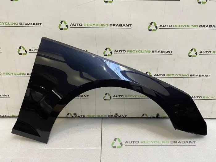 Scherm rechts-voor Audi A4