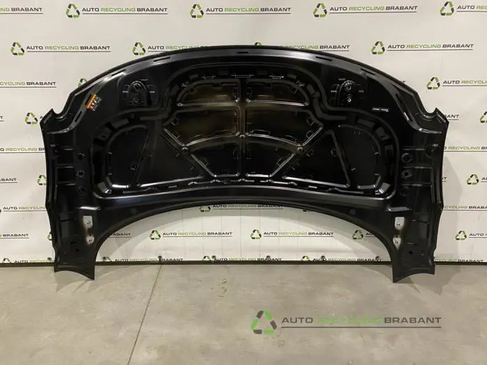 Motorkap - 134b8a07-497d-498e-bd2e-26d4644ed877.jpg