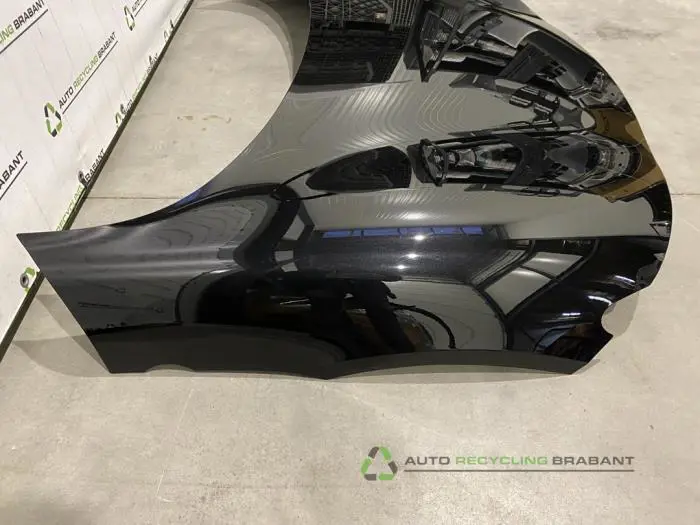 Motorkap - 1c800da8-1f14-434f-be8b-226d647225de.jpg