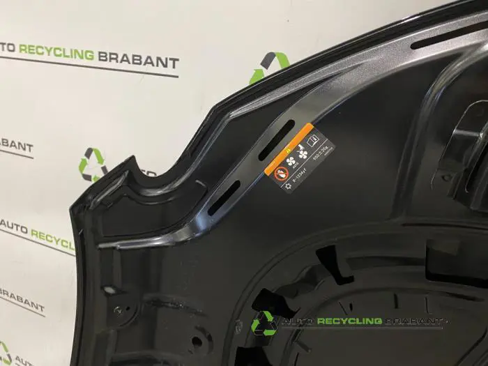 Motorkap - 21ad3103-781a-466a-b3ac-07caf782645a.jpg