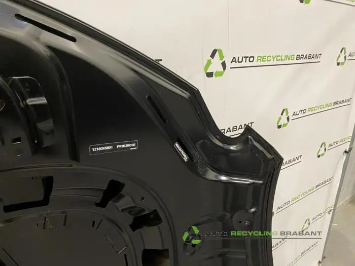 Motorkap - 639650e4-3a2a-48a4-aec1-1f5f6c5587d0.jpg