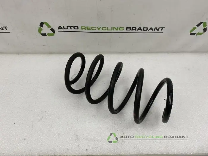 Veerschroef voor Volkswagen Beetle