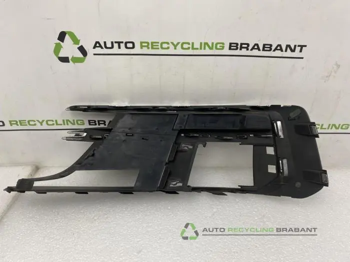 Bumper grille - 5ba6763f-a5c5-470e-9631-bc719ac7c91f.jpg