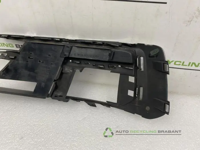 Bumper grille - e9a44ebe-b6b0-4a07-bc08-e415b2955afe.jpg