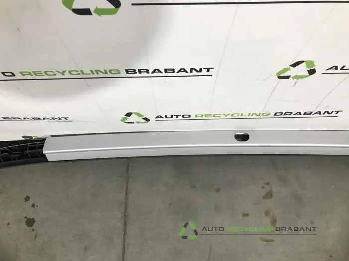 Dachreling rechts - 99a617a7-deac-4996-a010-5f27e8cd14b7.jpg