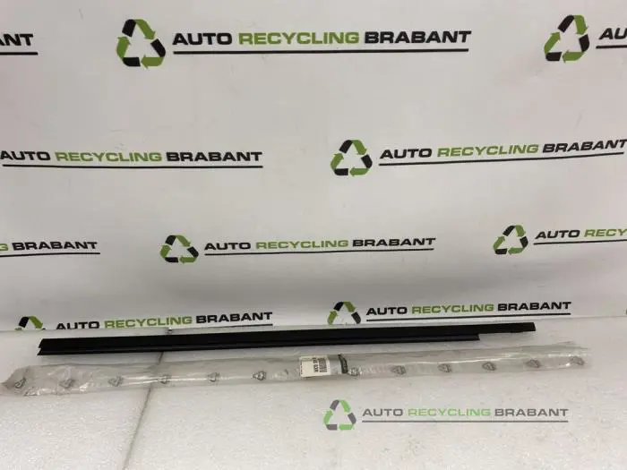 Diversen Renault Scenic