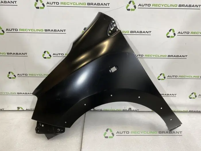 Scherm links-voor Dacia Lodgy