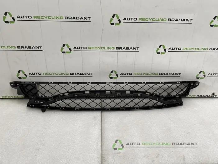 Stoßstangenrost Renault Clio