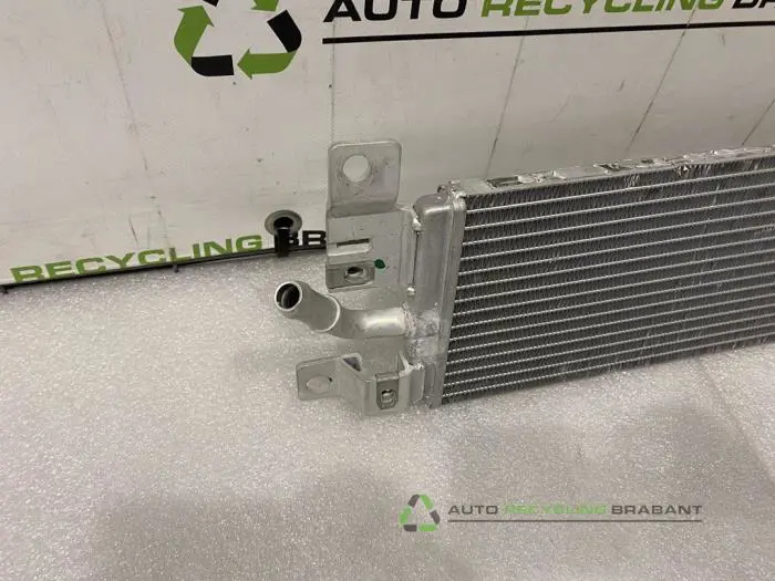 Radiateur - bf897ad5-fab7-4a3b-84a6-02f42aea6ee6.jpg