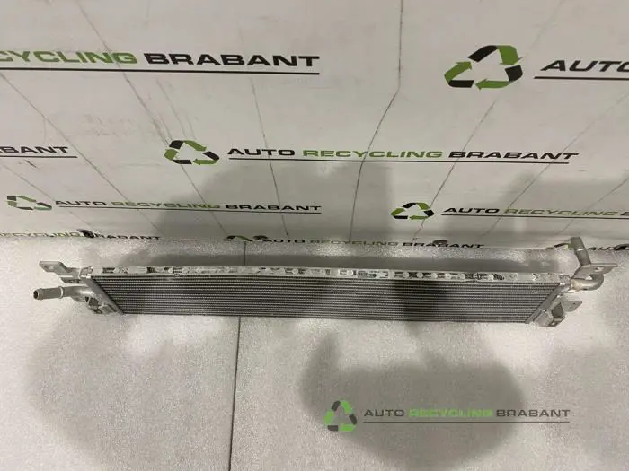 Radiateur - ec323a0c-7b1b-403a-9b3b-b300b3031171.jpg