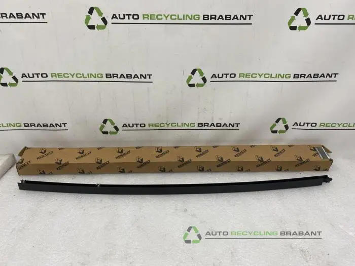 Zierleiste Renault Kangoo