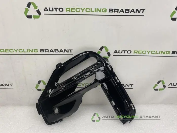 Stoßstangenrost BMW X5