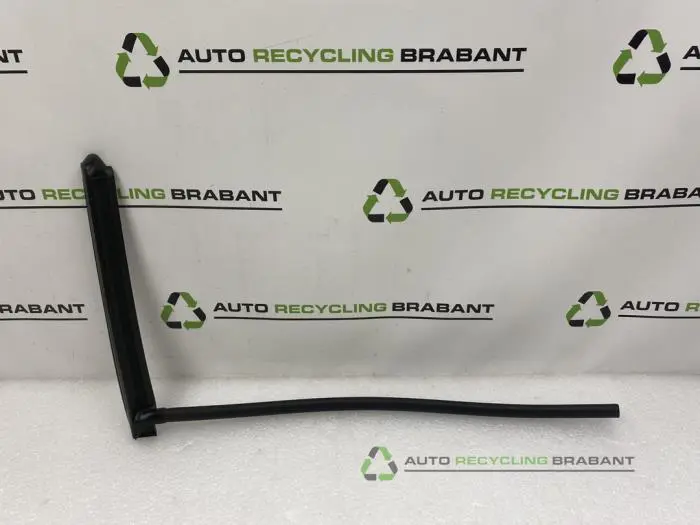 Türgummi 4-türig links hinten Mini Mini