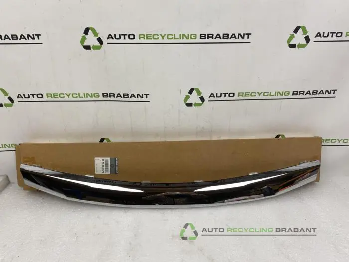 Grille Lijst Dacia Sandero