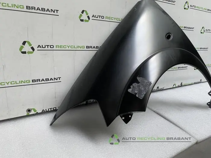 Scherm links-voor - 2b9d2745-675f-4b94-a4a7-899dca19212b.jpg