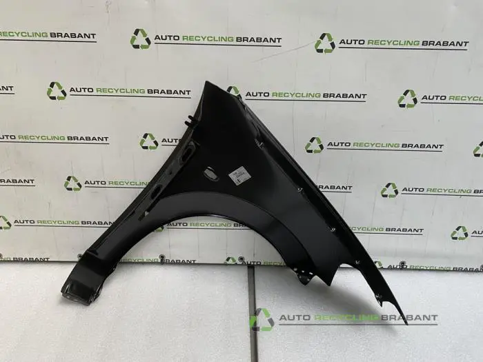 Scherm links-voor - 86703833-cfce-4e1d-be02-f0c011d41345.jpg