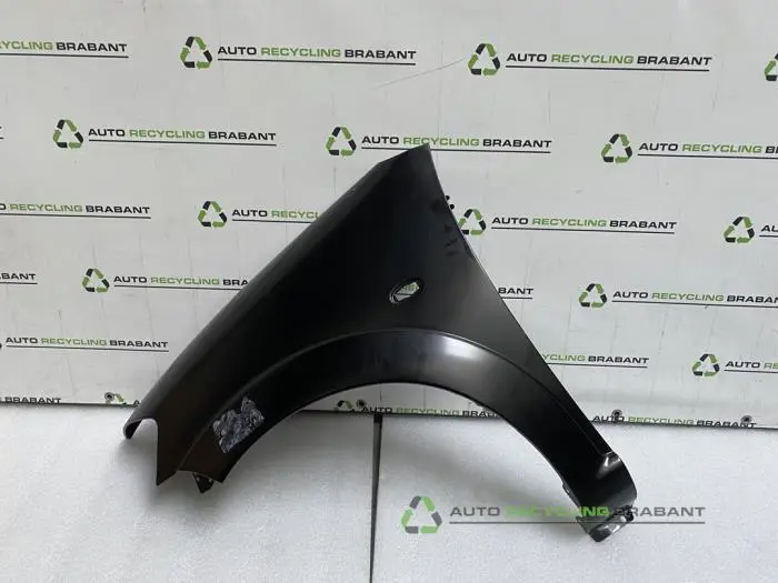 Scherm links-voor Citroen C3