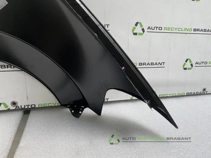 Scherm links-voor - ee91e00e-2fd9-42a3-967b-1869b956044e.jpg