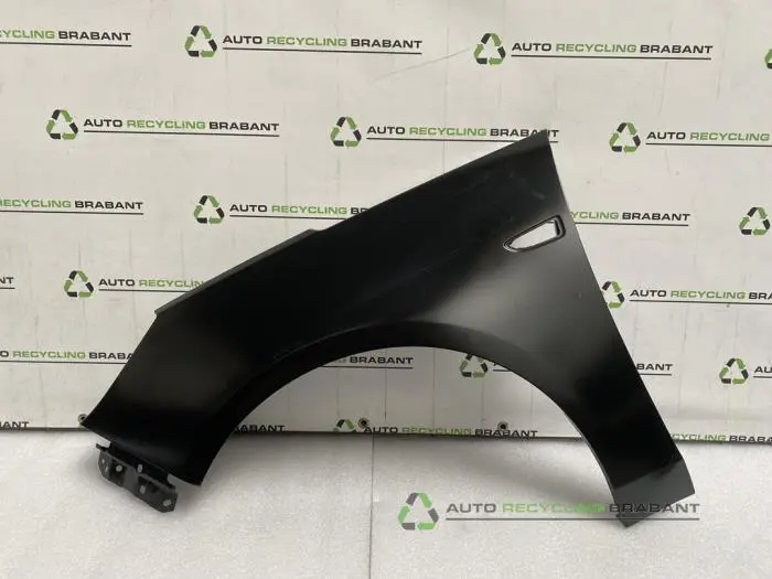 Scherm links-voor Opel Zafira