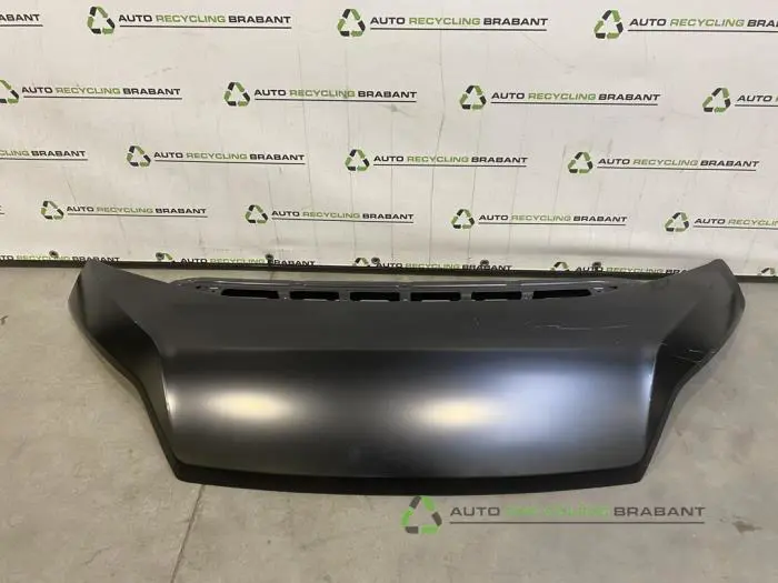 Motorkap - 0a136415-8acf-4fdd-8188-6636128a4e76.jpg