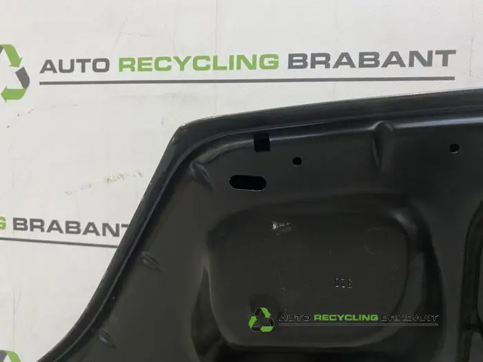 Motorkap - 4f21a0d4-2c1e-4c1f-86b8-e23e556f1cc5.jpg