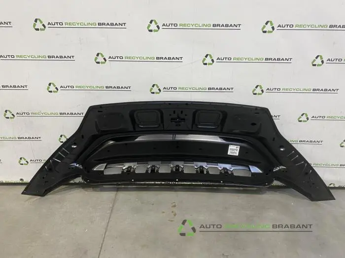 Motorkap - 65cf9b56-3b27-4a0e-b7a0-310fa006cb93.jpg