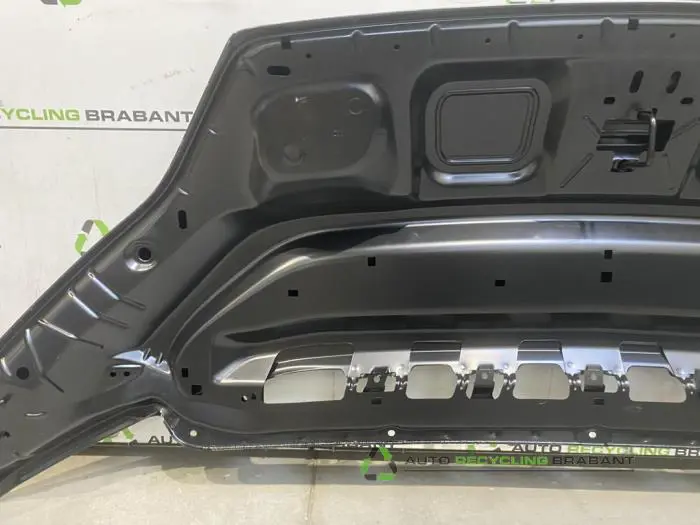 Motorkap - fe07d3b0-5786-4ffb-815f-15193396741b.jpg