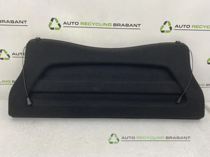 Hutablage Renault Clio