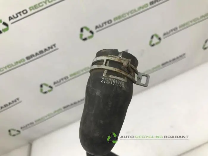 Radiateurslang - 18f92eca-492c-457d-9fc8-49a08e00cca5.jpg