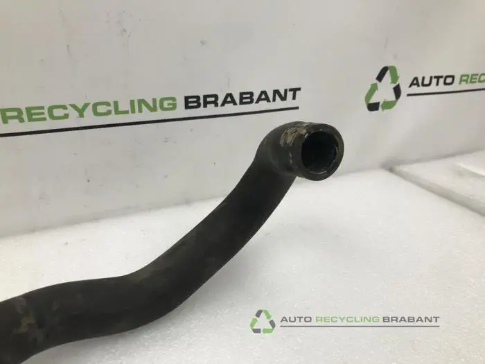 Radiateurslang - 910a28c8-d0e1-4c04-a9c0-3059385c18f5.jpg