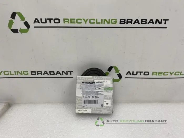 Multiriem Renault Scenic