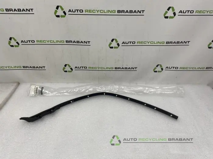 Joint caoutchouc portière 4portes avant gauche Renault Scenic