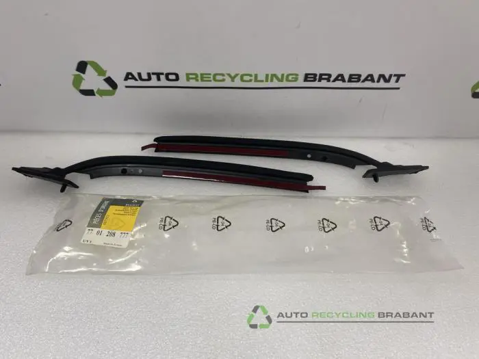Raamrubber Achter Renault Clio