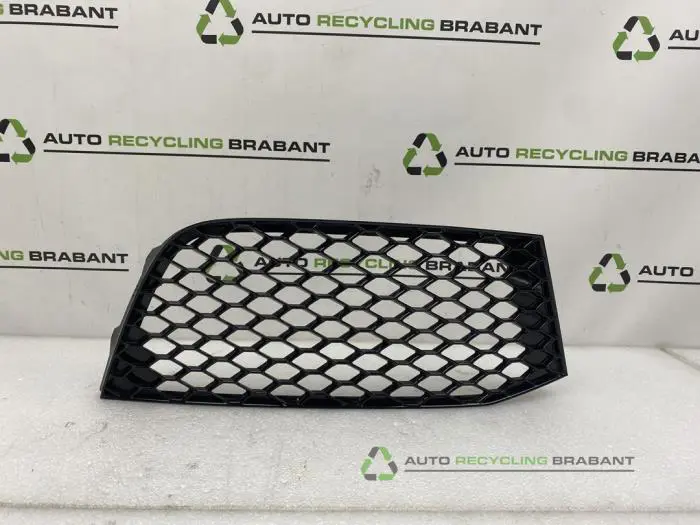 Stoßstangenrost Audi A3