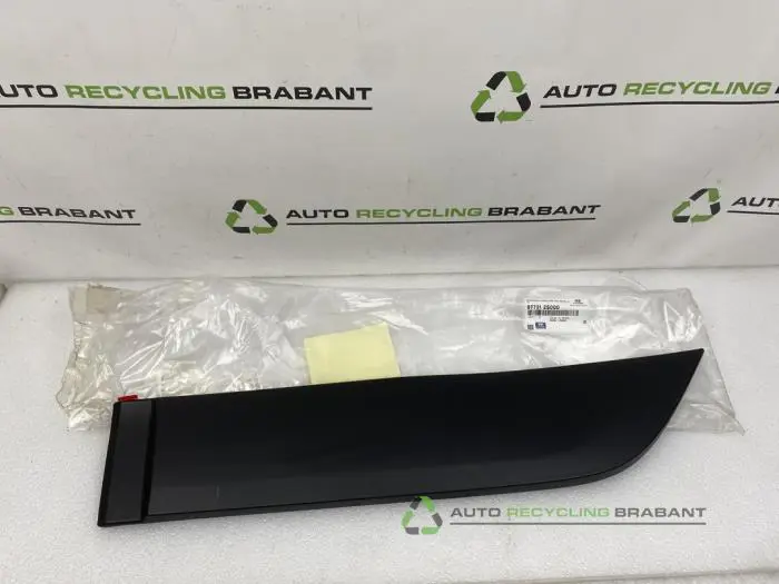 Zierleiste Hyundai Tucson