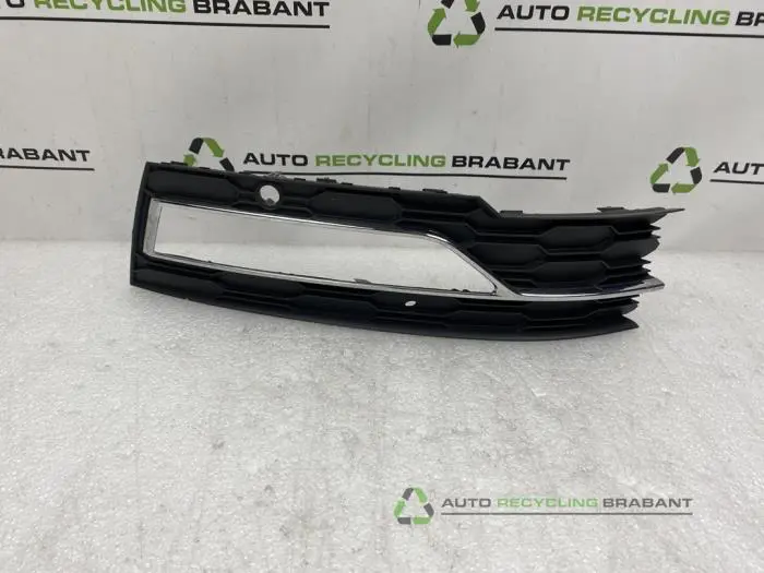 Stoßstangenrost Skoda Octavia