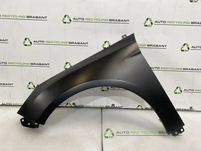 Scherm links-voor Ford Focus