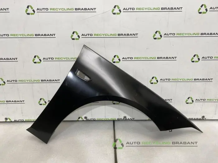 Scherm links-voor Opel Insignia