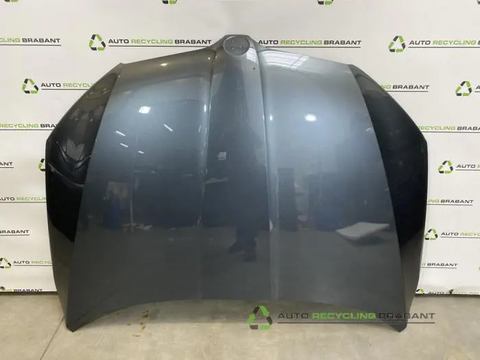 Motorkap Skoda Octavia