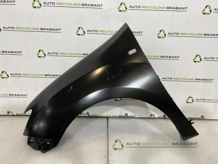 Scherm links-voor Dacia Sandero