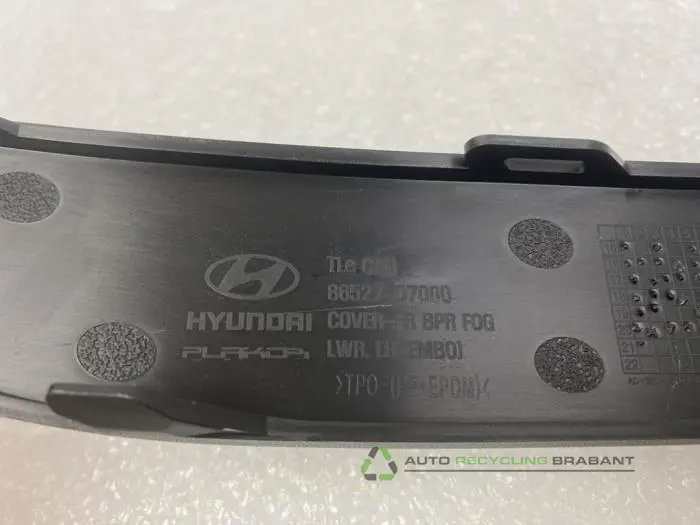 Zierleiste - 17dd68b0-f6c6-453e-8fe4-65e122a9de9b.jpg