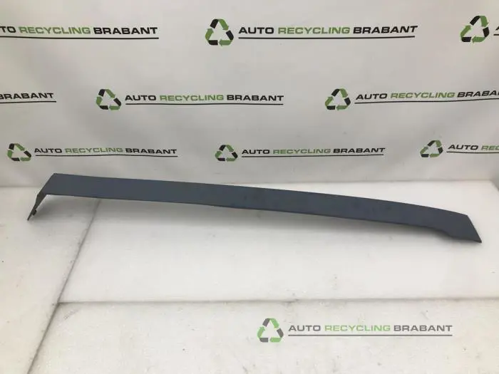 Zierleiste Citroen Jumpy