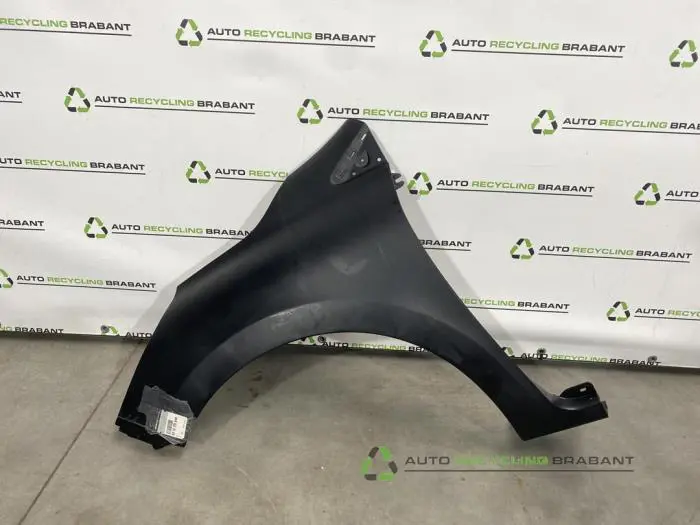 Scherm links-voor Renault Clio