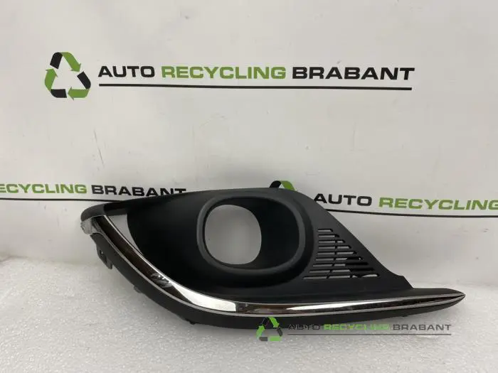 Stoßstangenrost Renault Scenic