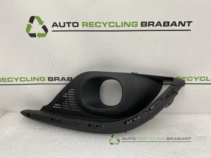 Stoßstangenrost Renault Scenic