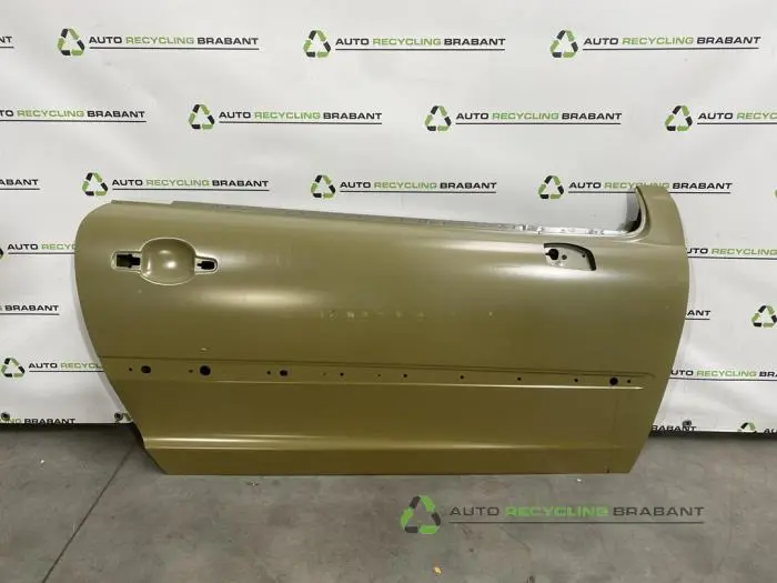 Portier 4Deurs rechts-voor Peugeot 207