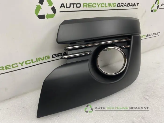 Stoßstangenrost - 20c1337a-87f7-4090-b8fb-145deffcfba6.jpg